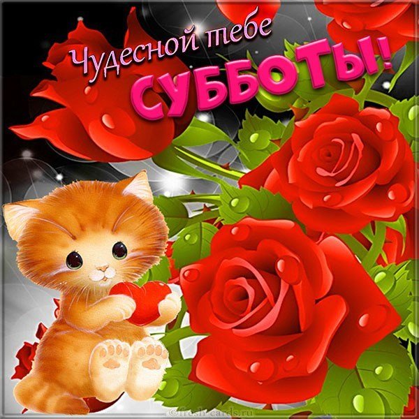 Открытка с днем субботы