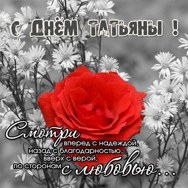 Открытка с днем Татьяны бесплатно с пожеланиями