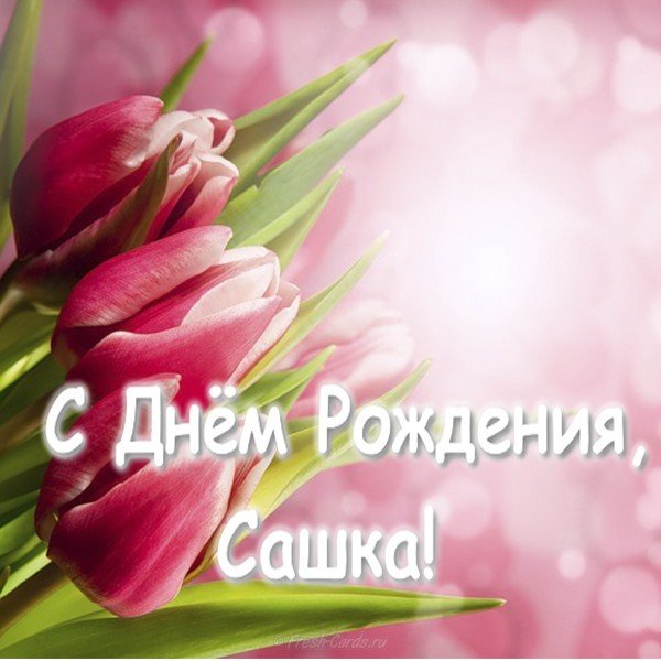 Открытка с днём рождения Сашка
