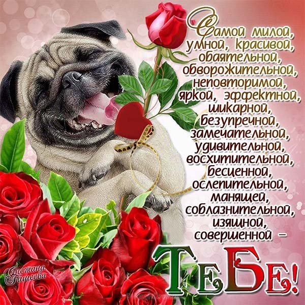 Открытка с днём рождения женщине красивая смешная