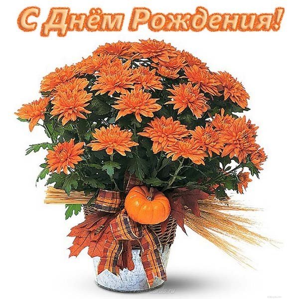 Открытка с днём рождения женщине в картинке