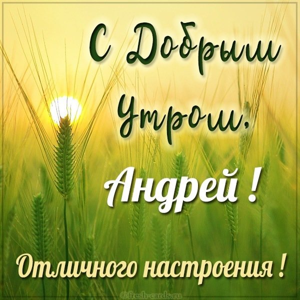 Открытка с добрым утром Андрей