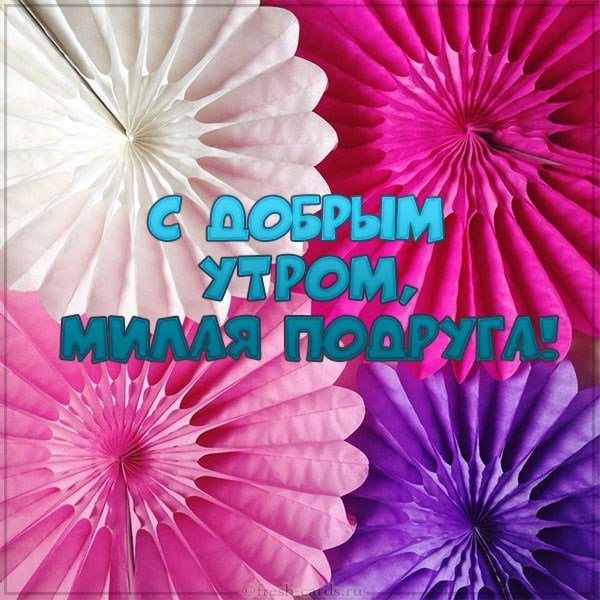 Открытка с добрым утром милая подруга