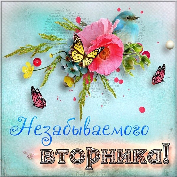 Открытка с добрым утром вторника
