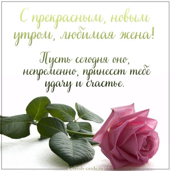 Открытка с добрым утром жене любимой красивая