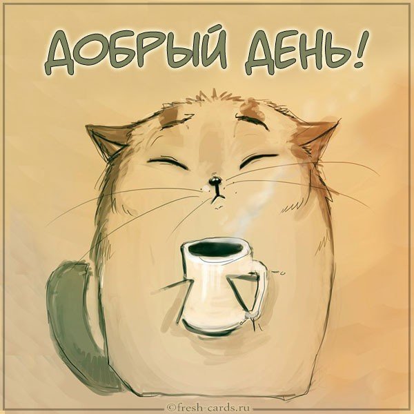 Открытка с котятами добрый день