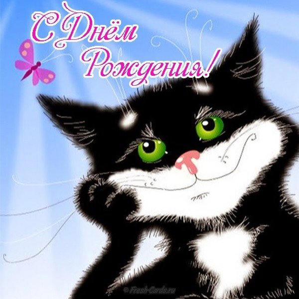 Открытка с котятами на день рождения