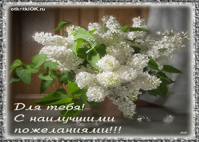 Открытка с наилучшими пожеланиями