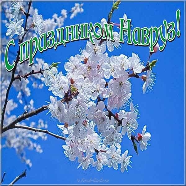 Открытка с наврузом