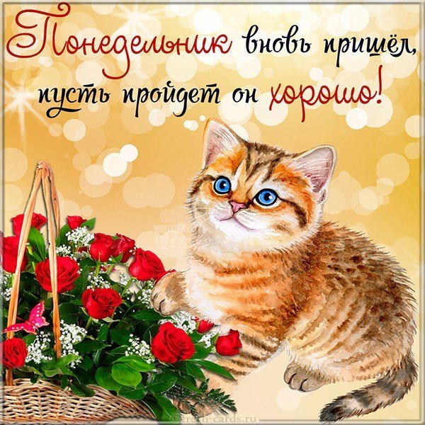 Открытка с новым понедельником