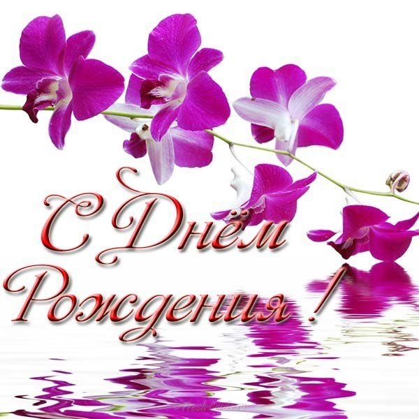 Открытка с орхидеями с днём рождения женщине