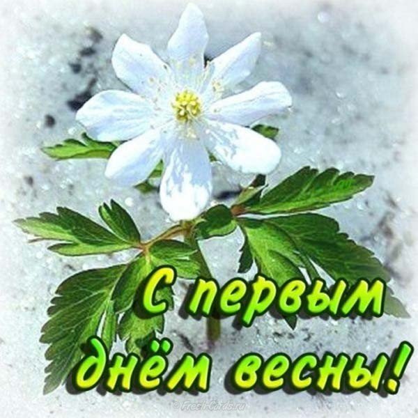 Открытка с первым днем весны