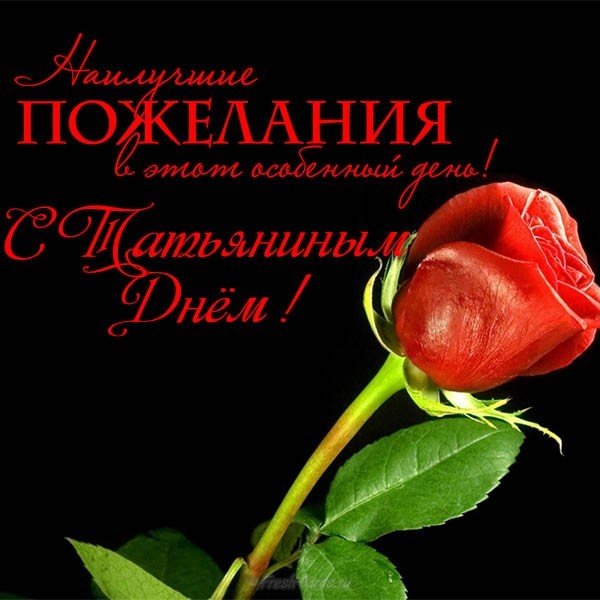 Открытка с поздравлением на Татьянин день