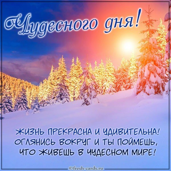 Открытка с пожеланием чудесного дня