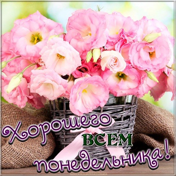 Открытка с пожеланием хорошего понедельника