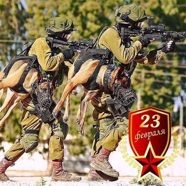 Открытка с приколами к 23 февраля