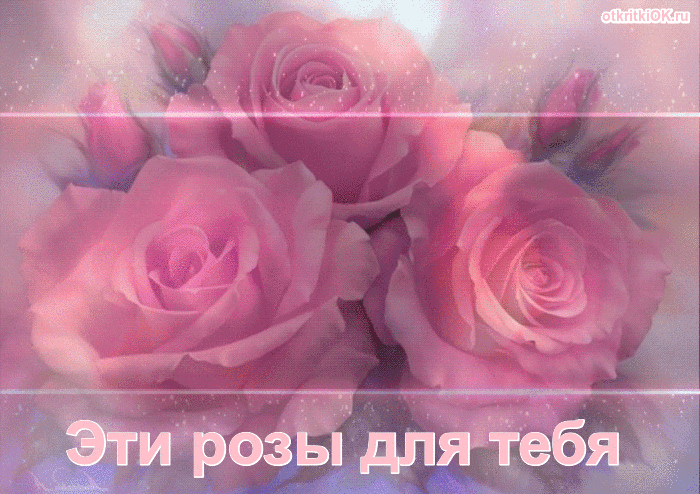 Открытка с розами