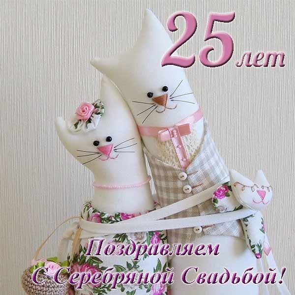 Открытка с серебряной свадьбой 25 лет прикольная