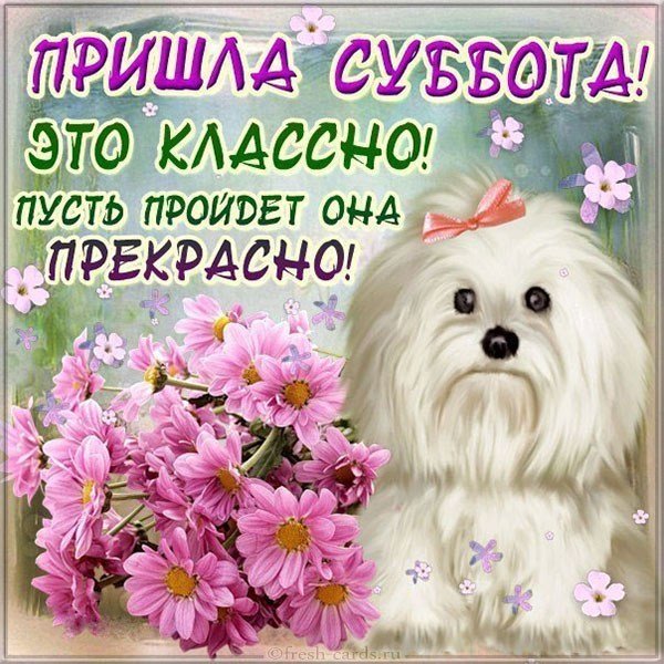 Открытка с субботой бесплатно