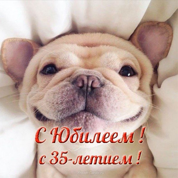Открытка с юбилеем 35 лет девушке прикольная