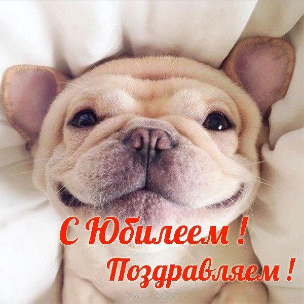Открытка с юбилеем мужчине скачать бесплатно