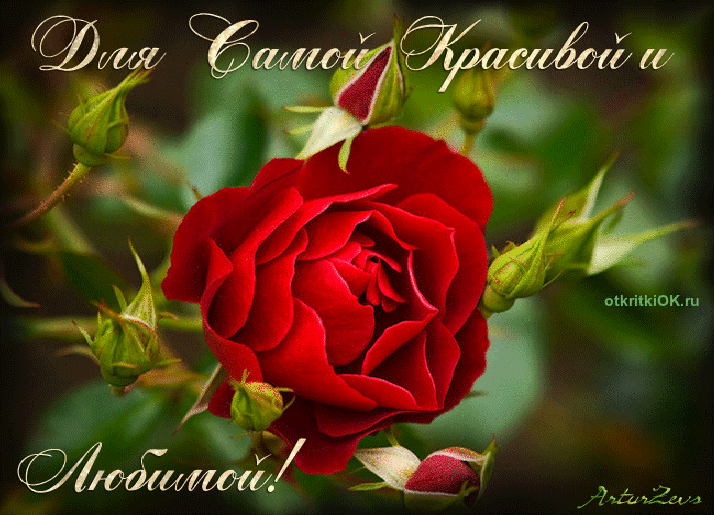 Открытка самой красивой и любимой