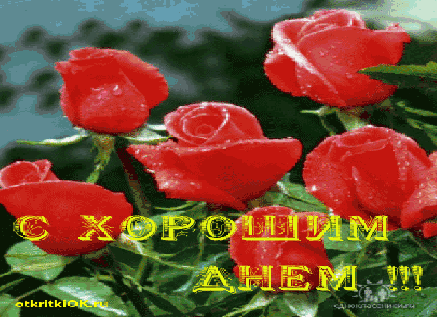 Открытка счастья и любви