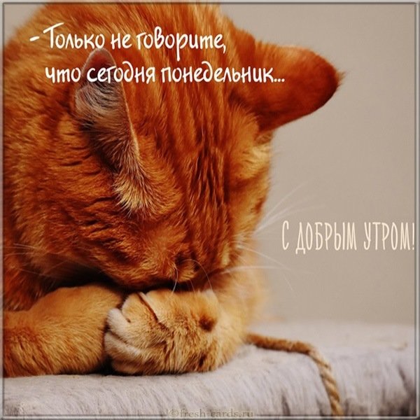 Открытка сегодня понедельник