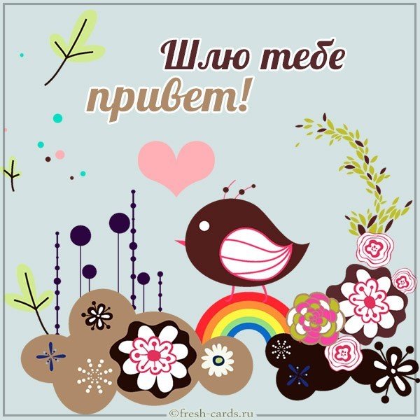 Открытка шлю привет