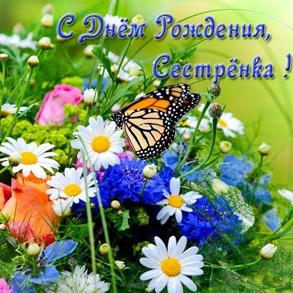 Открытка со стихами с днём рождения сестре