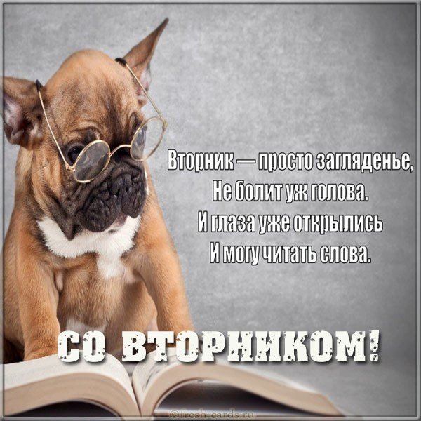 Открытка со вторником прикольная