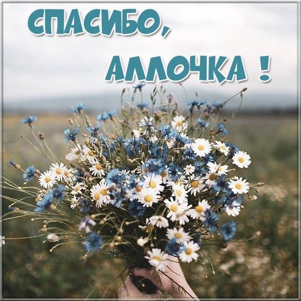 Открытка спасибо Аллочка