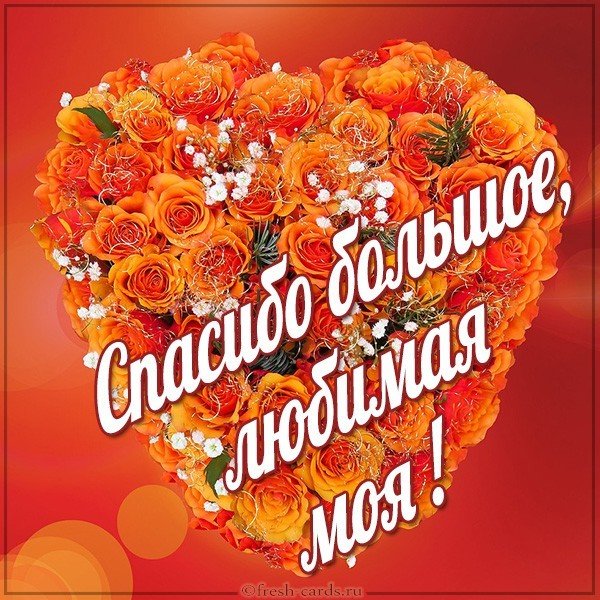 Открытка спасибо большое любимая