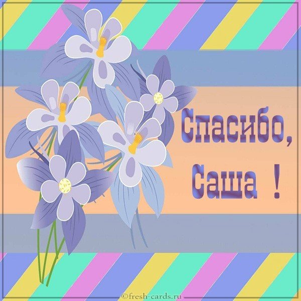 Открытка спасибо Саша