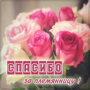 Открытка спасибо за племянницу