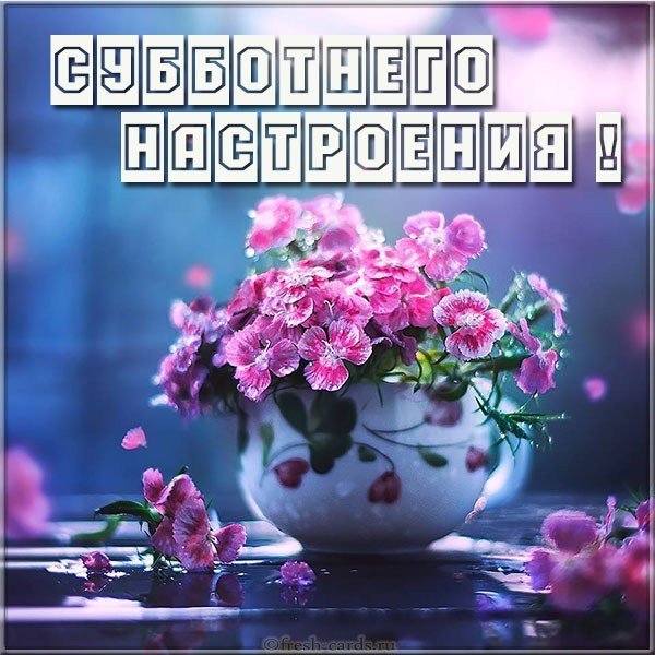 Открытка субботнего настроения