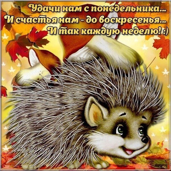 Открытка удачного понедельника