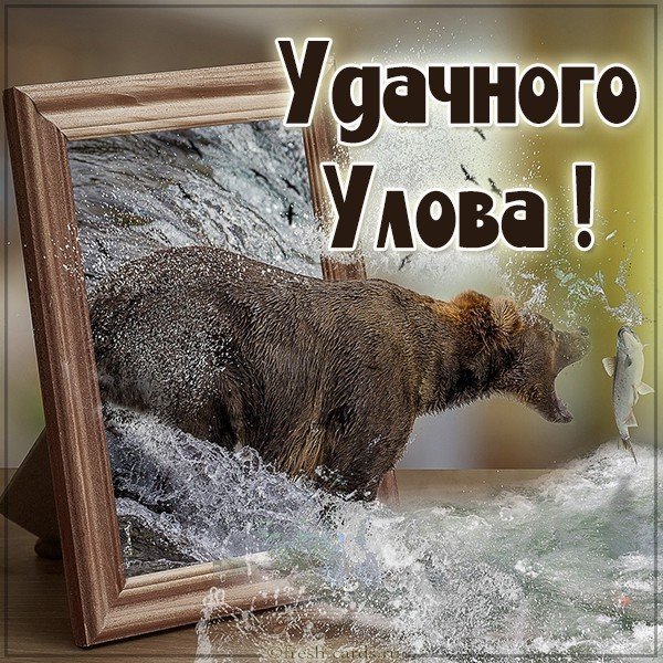 Открытка удачного улова