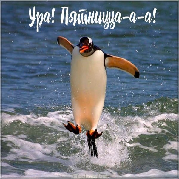 Открытка ура сегодня пятница