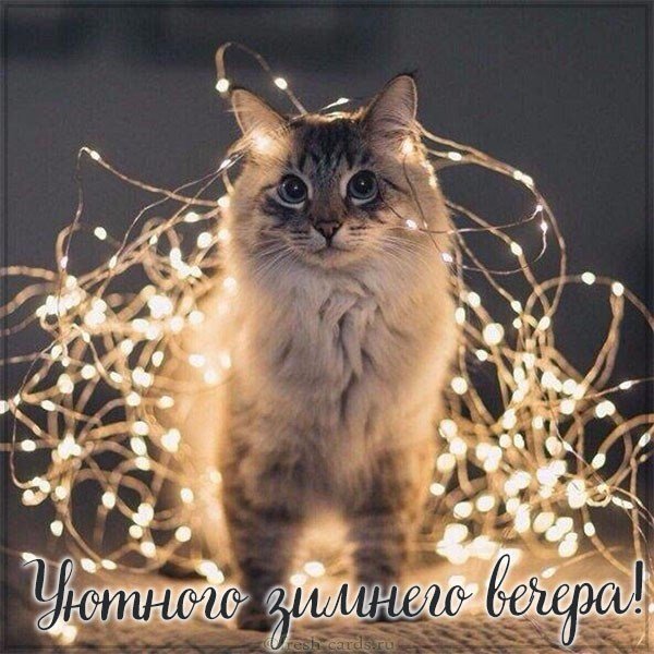Открытка уютного зимнего вечера