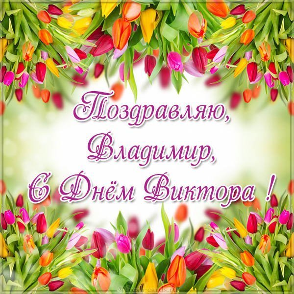 Открытка Владимиру на именины