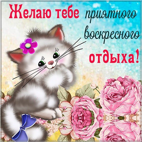 Открытка воскресенье выходной бесплатно