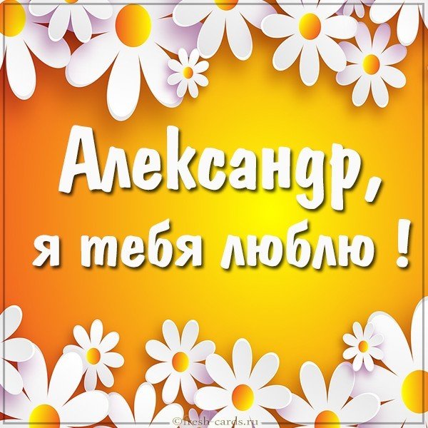 Открытка я тебя люблю мужчине Александру