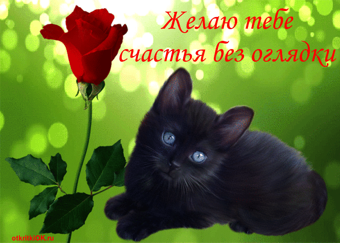 Открытка желаю счастья