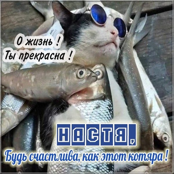 Отличная прикольная картинка с именем Настя