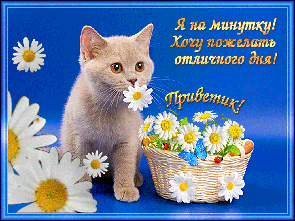 Отличного дня