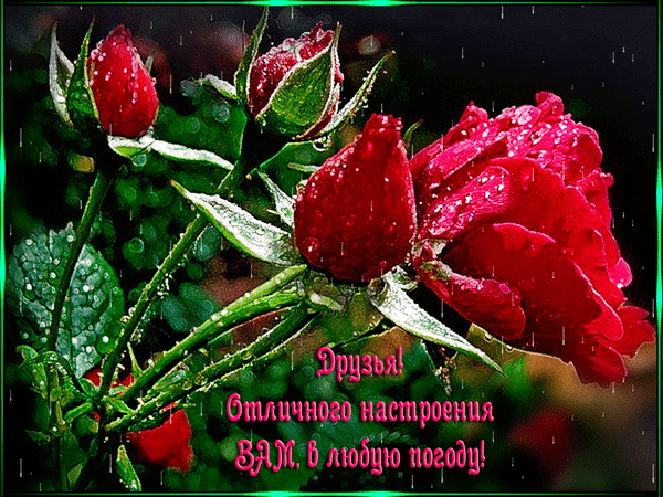 Отличного настроения мои друзья