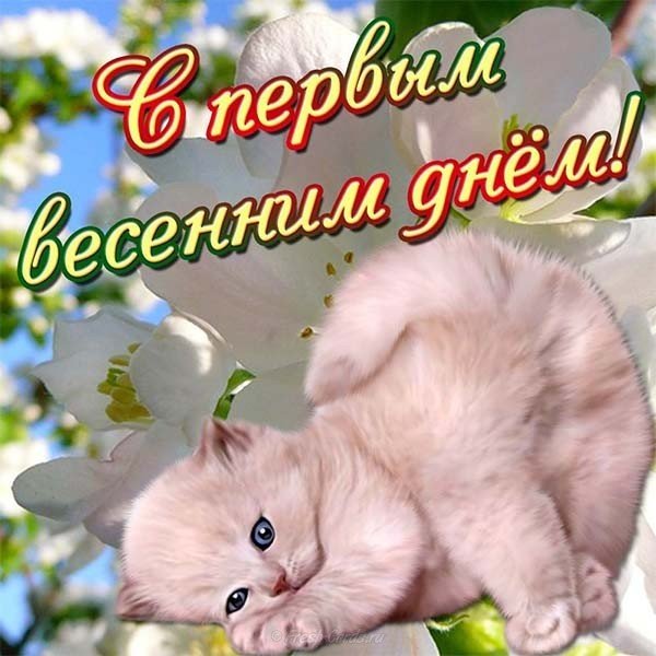 Первый день весны 1 марта картинка