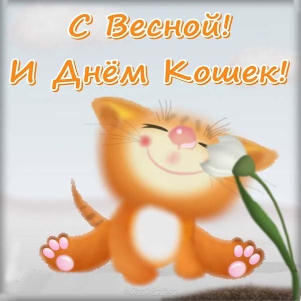 Первый день весны открытка прикольная