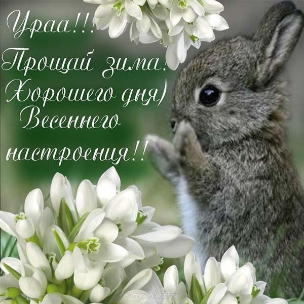 Первый день весны поздравление картинка